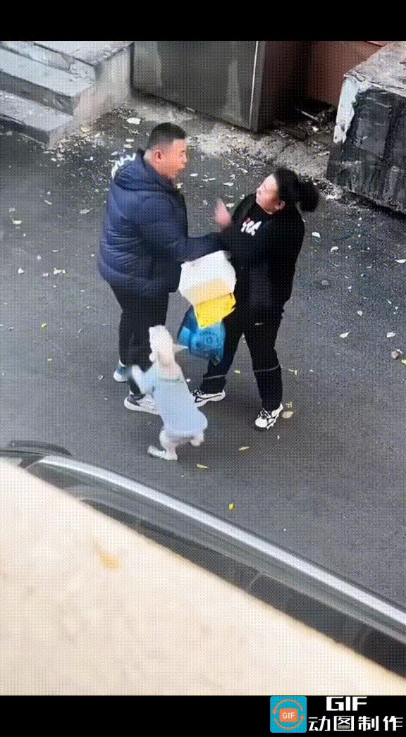 街头的一场口角，竟牵出了一段让人揪心的画面。女子牵着爱犬与陌生男子起了争执，推搡