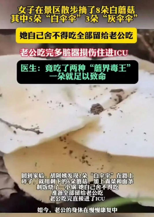 老公快吃吧我舍不得🥰🥰🥰✨✨✨​​​