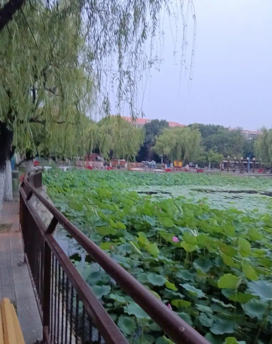 炒股一定要紧盯换手率简单来说换手率低就属于无人问津，换手率中等主力在吸筹或准备拉