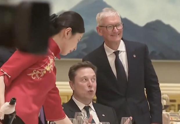 喜欢表情包的马斯克，这一次自己成为了表情包。