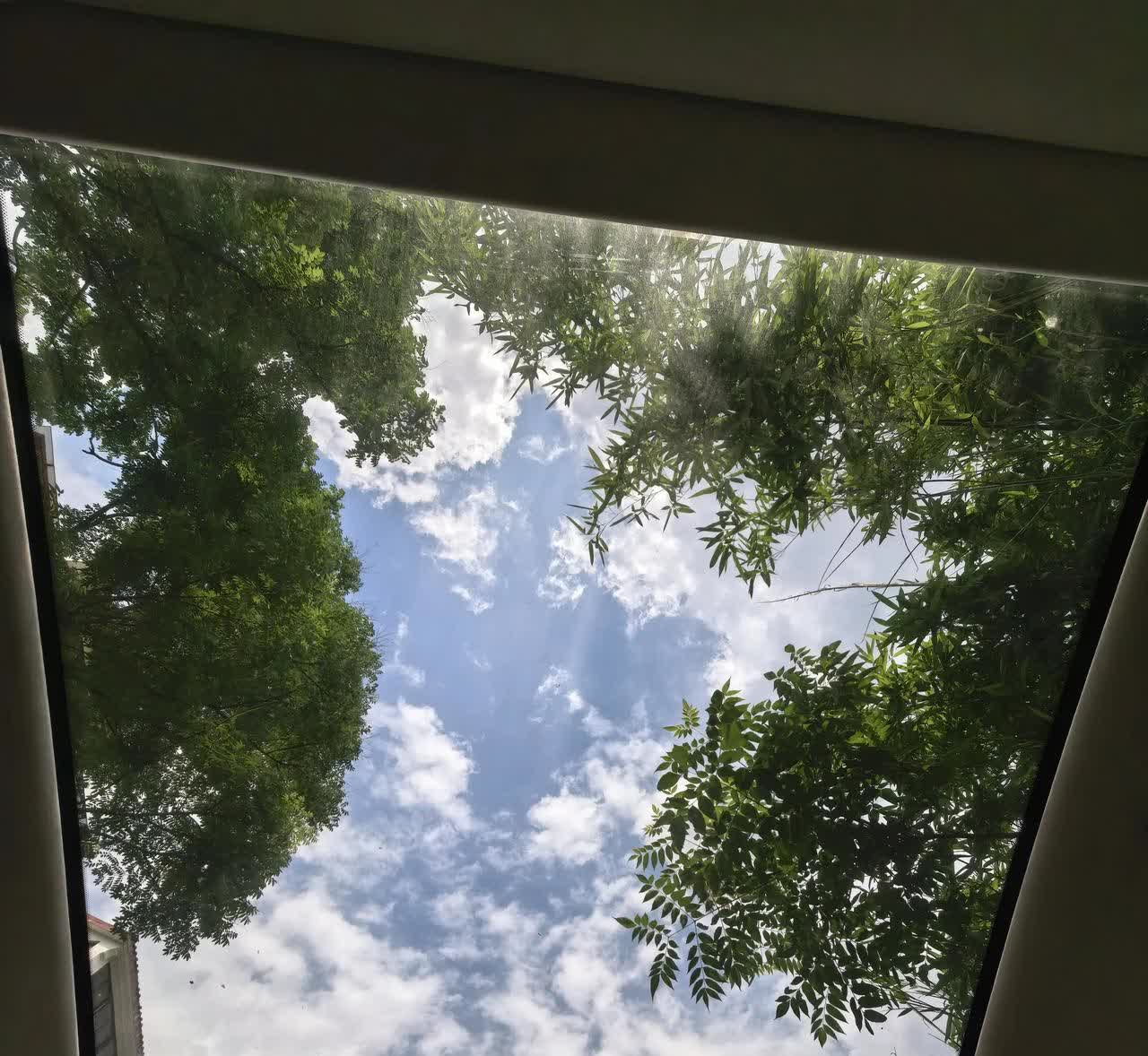 全景大天幕，不带实体遮阳帘，都是坑！别管车企宣传的多牛，什么99.999%的