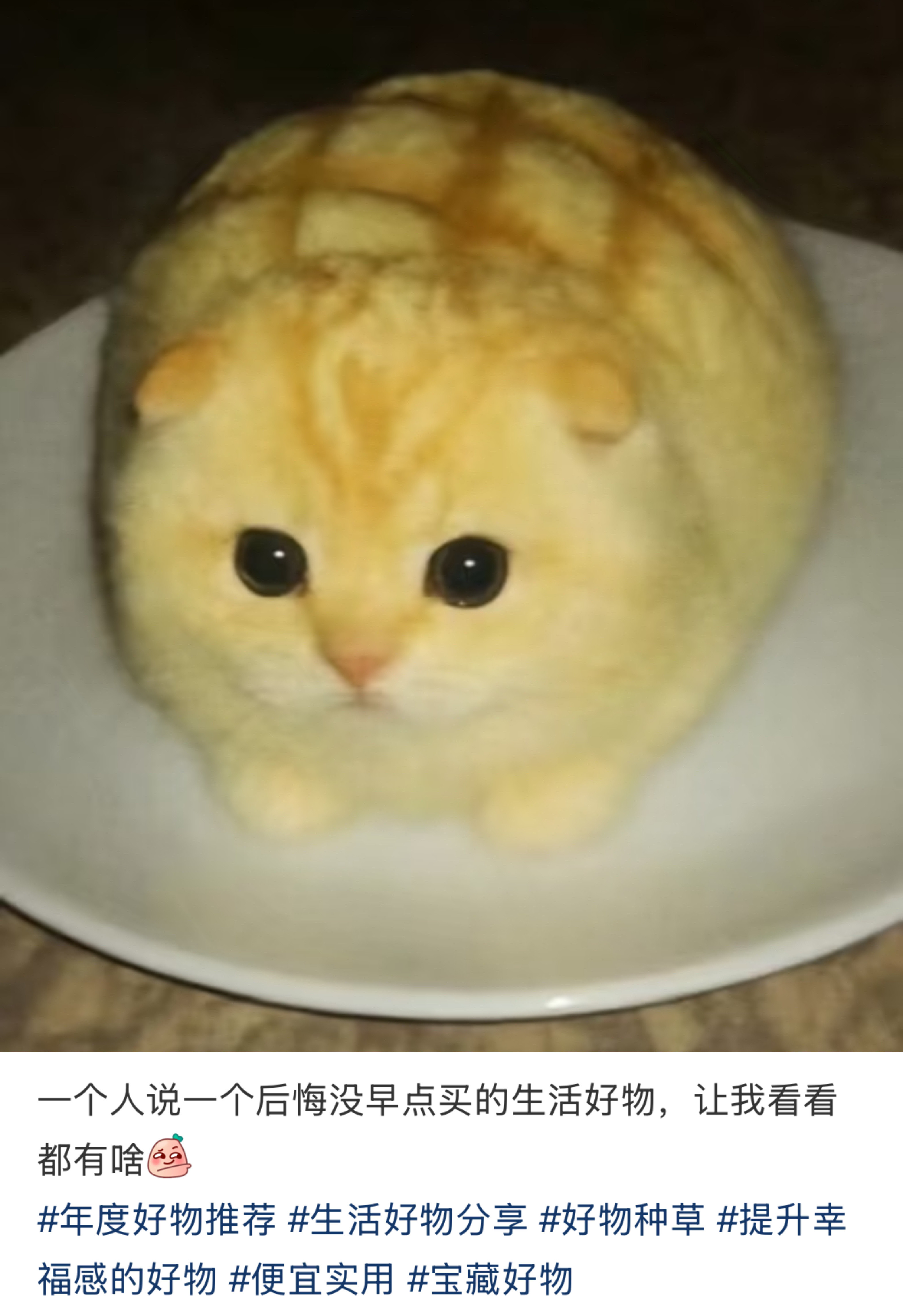 一个人说一个后悔没早点买的生活好物