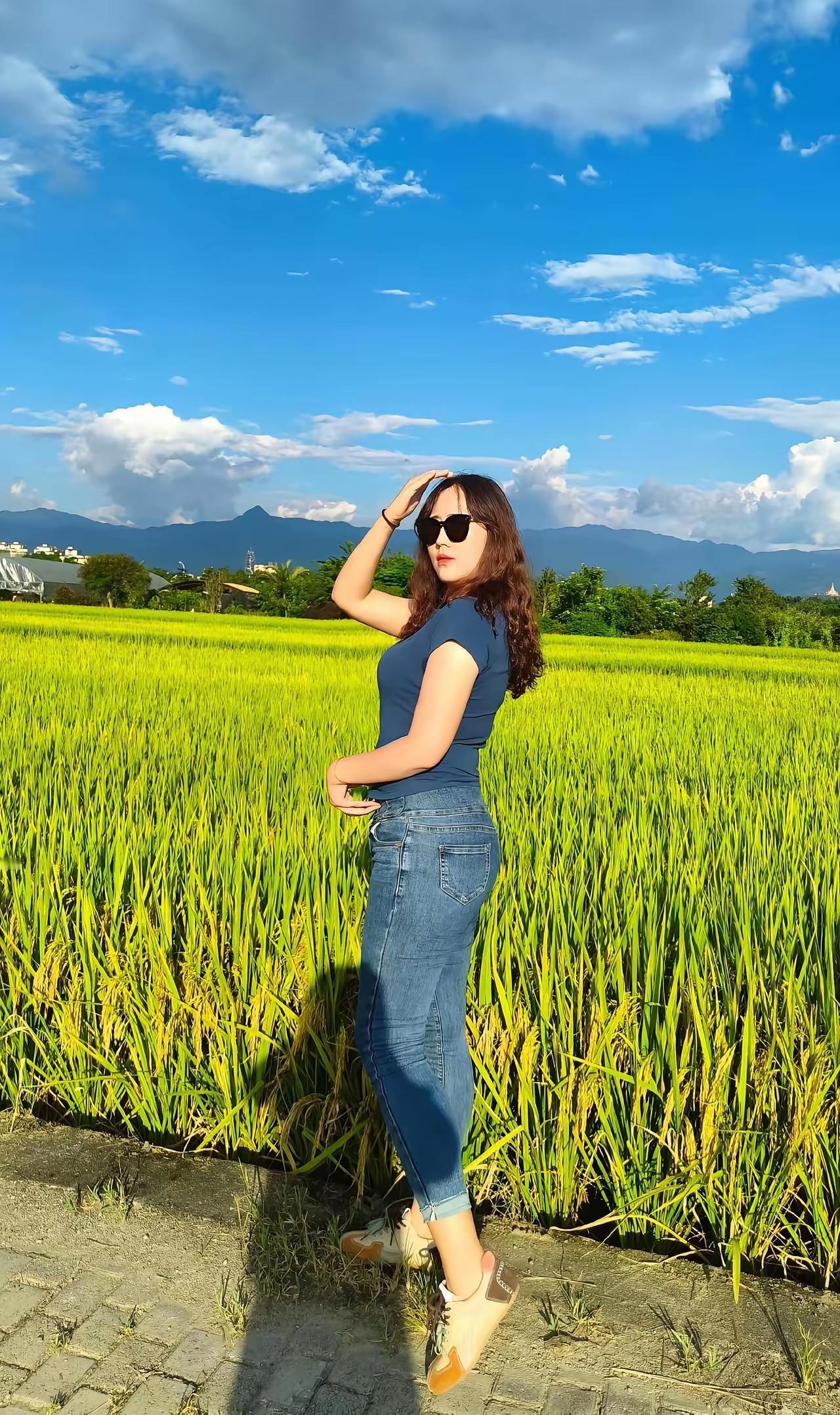 在田野边，阳光明媚的一天。