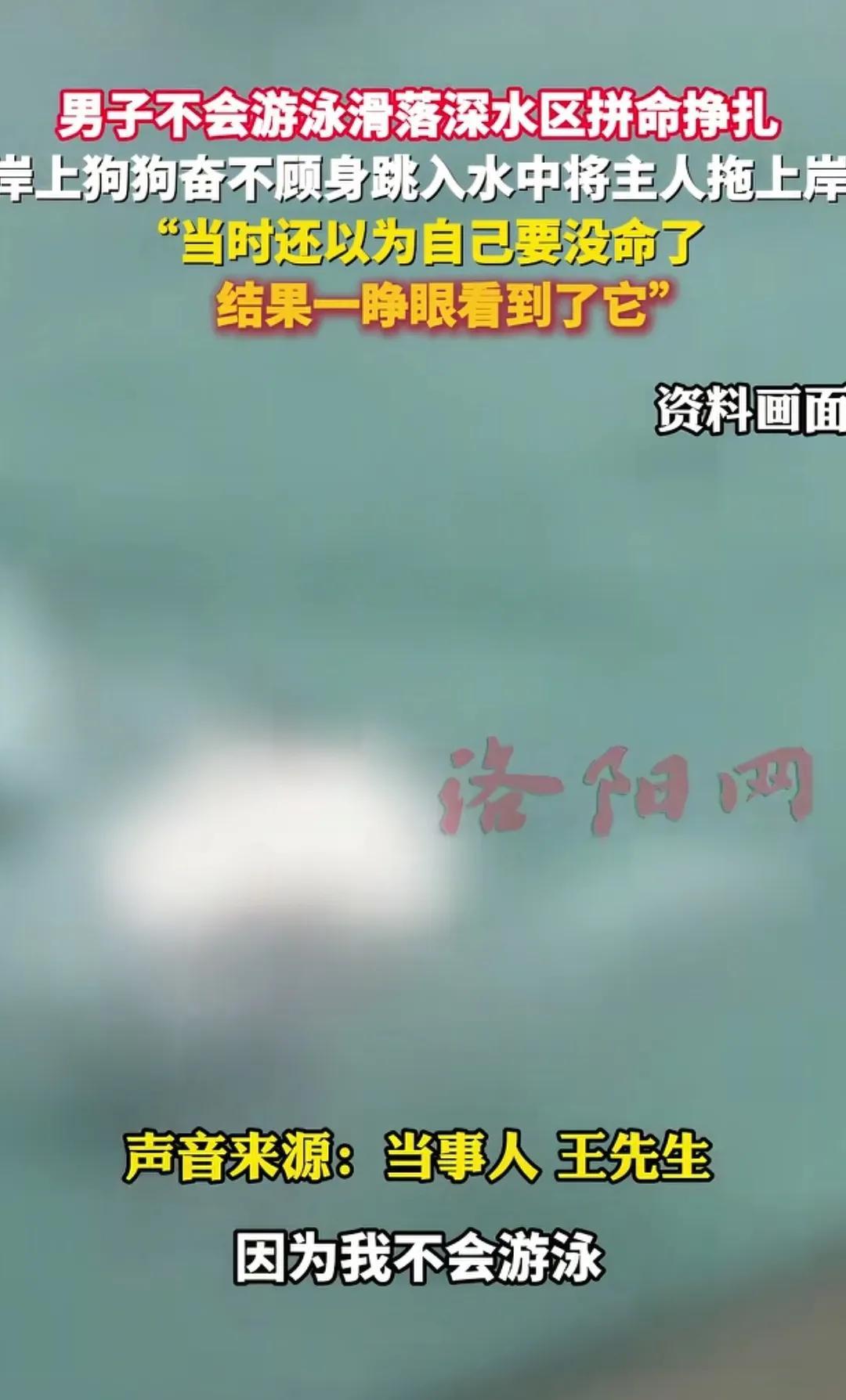 湖北宜昌，王先生心疼自家金毛总被‘女朋友’欺负，带它出门散心。谁料，在水边脚下一