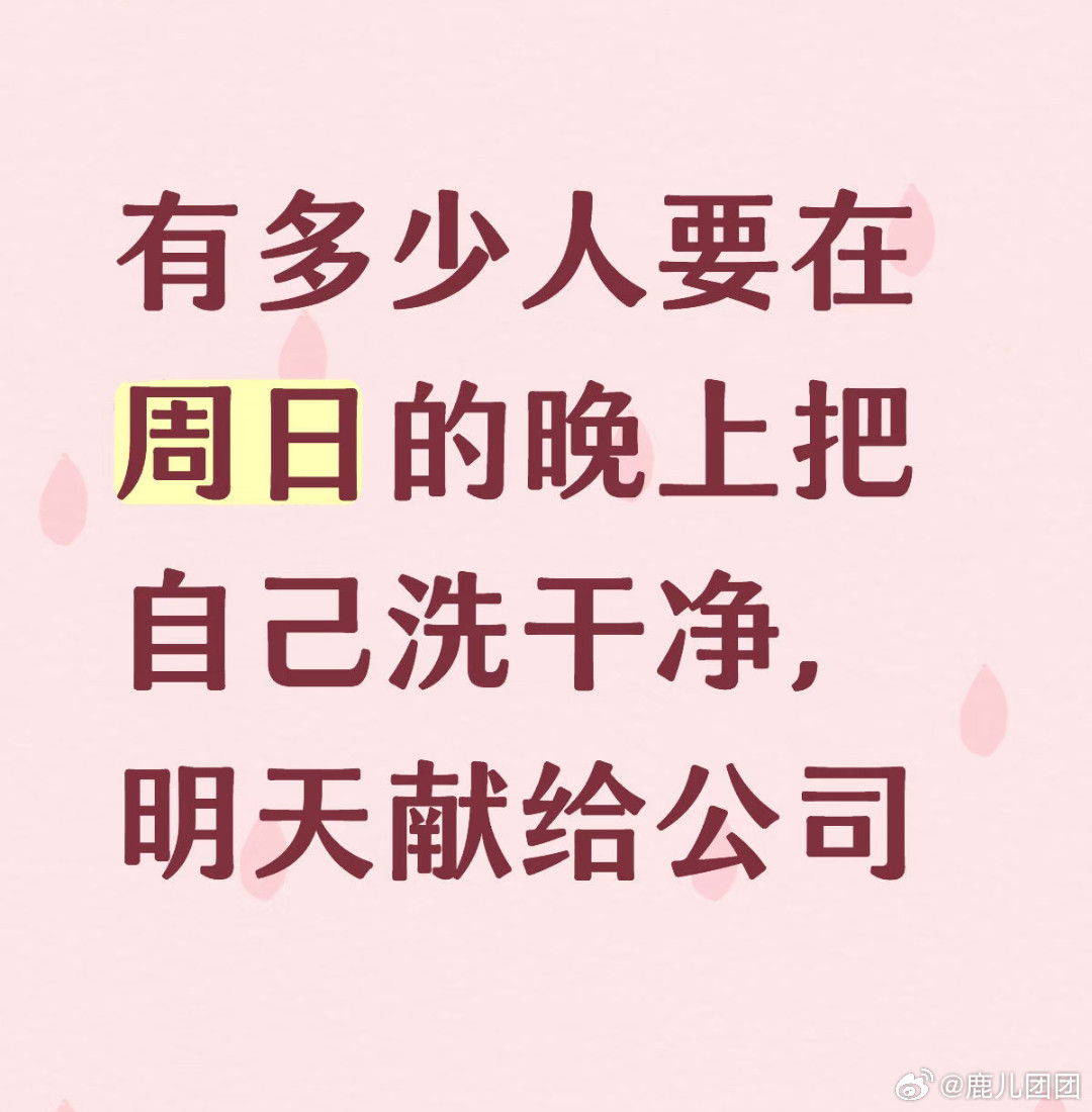 周日把自己洗干净献给公司