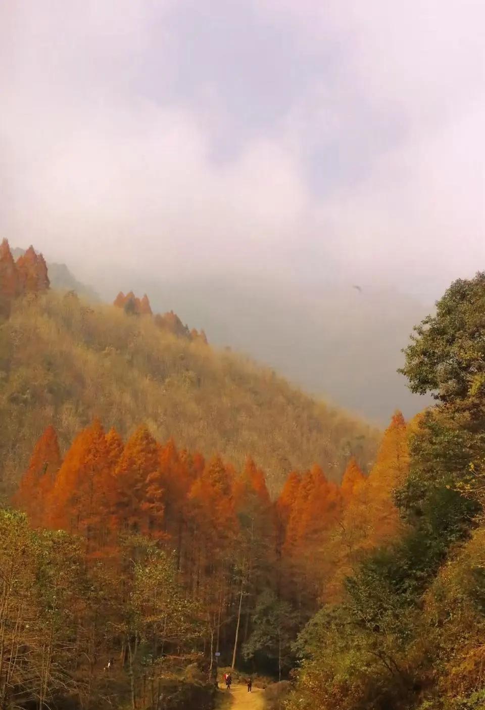 四川盆地最后的秋🍂|上元古道徒步攻略上元古道有大环线和小环线之分：1⃣