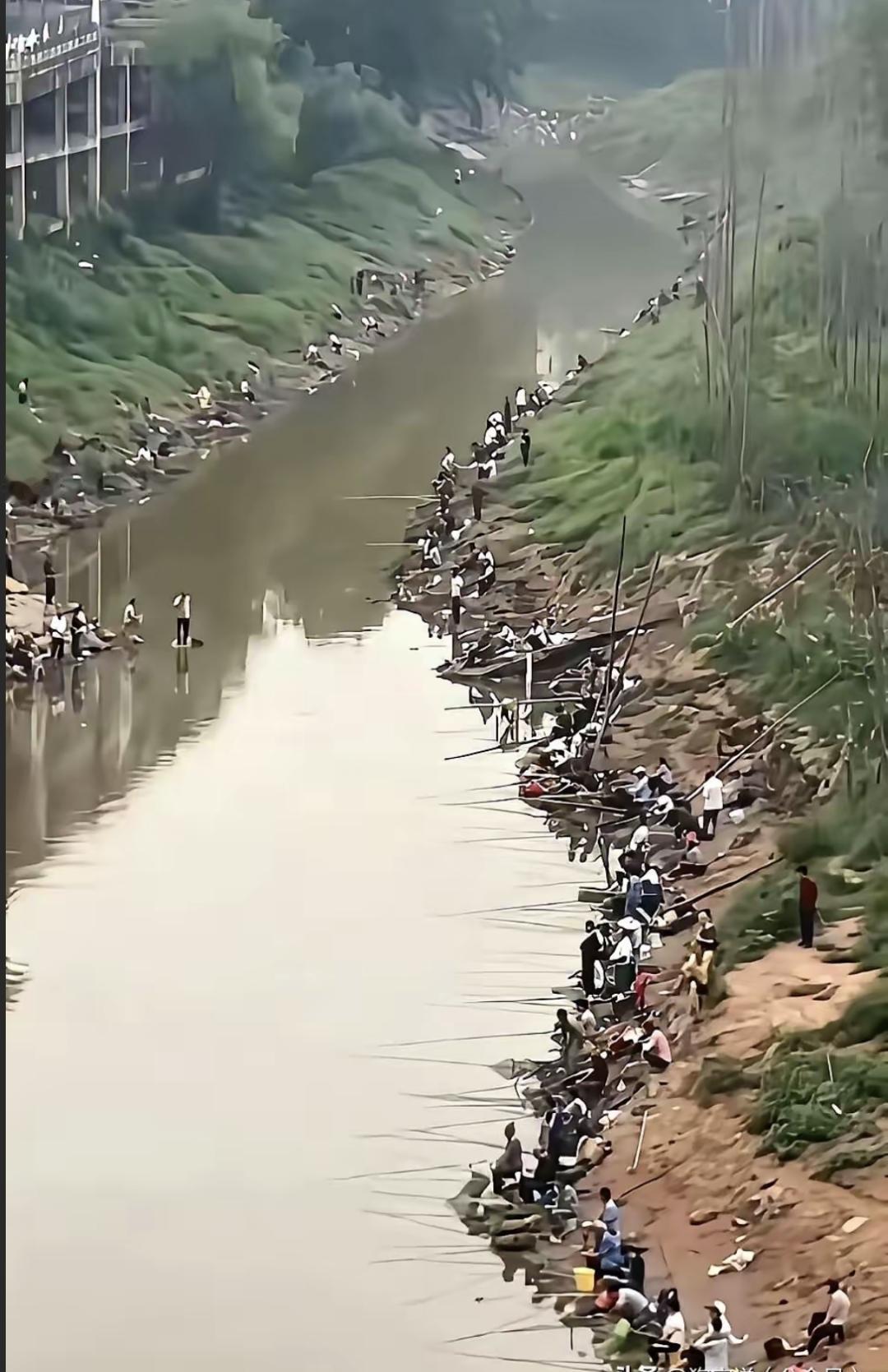 昨天我们小区后面的河清淤，抽干水后岸边那帮钓鱼的老哥都傻了。原先天天蹲那钓鱼的人