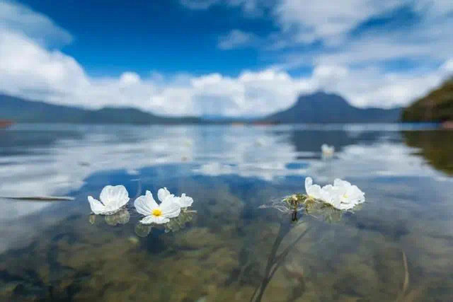 夏日的泸沽湖，就爱你的“水性杨花”！