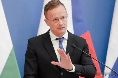 德国外长这脸变得真是丝滑，王外长一句话定调！12月8日，德国外长瓦德富尔一到北