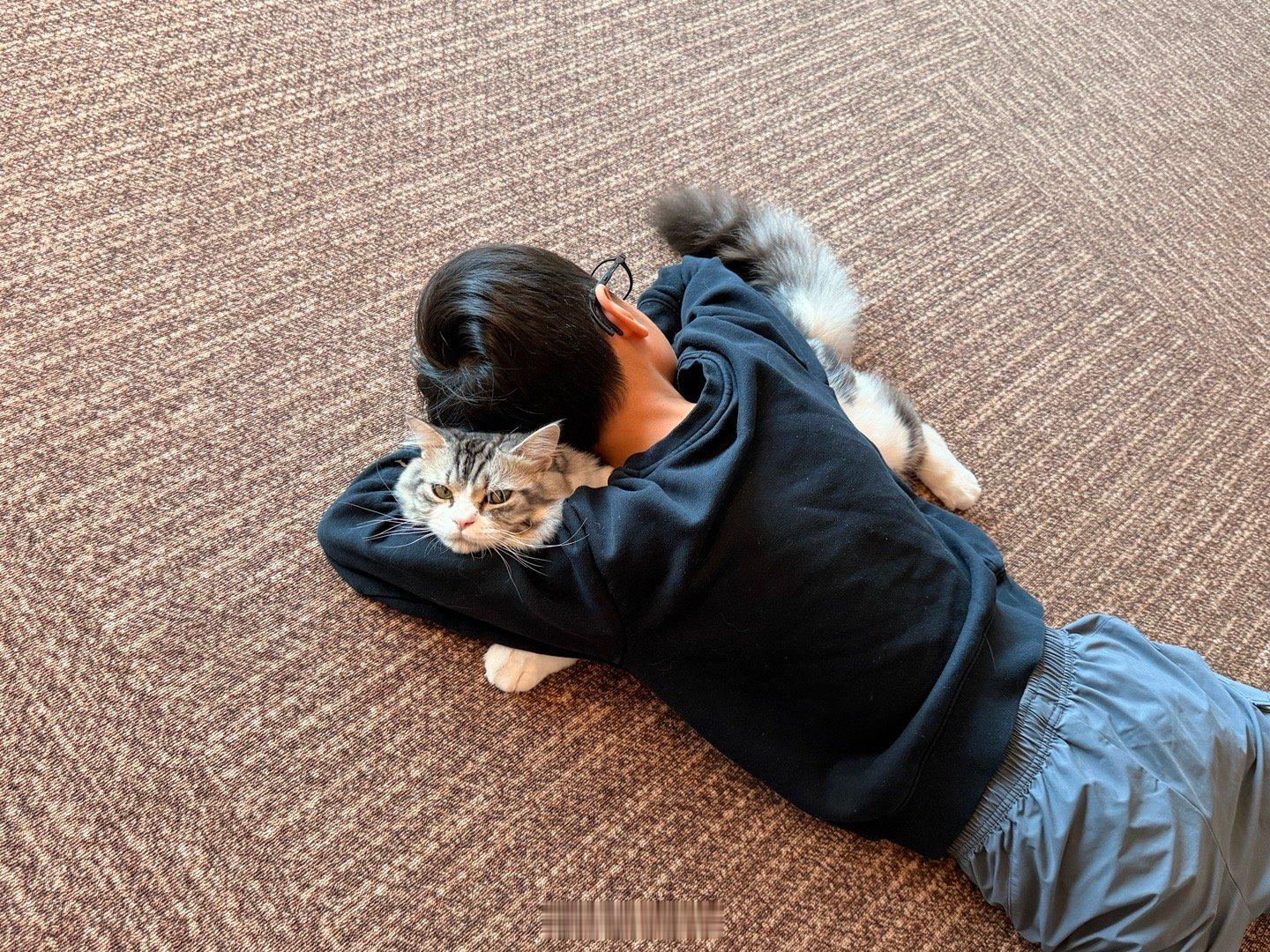 他现在的午觉都是这样的，心疼我猫…