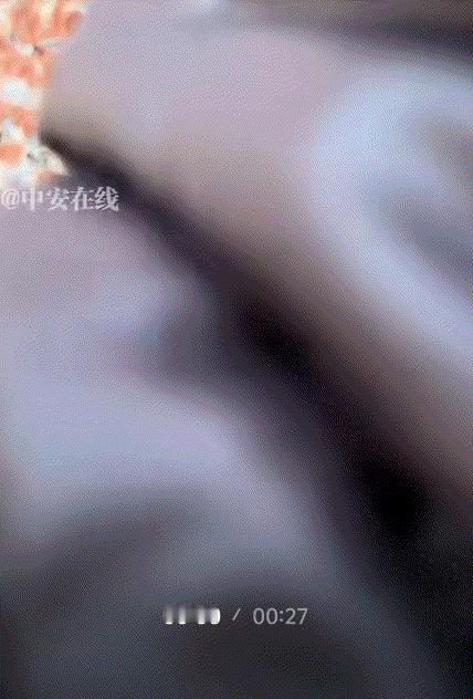 看哭了，山东，一妈妈带着两孩子，第一次去给去世6年的烈士爸爸扫墓，不料去的路上孩