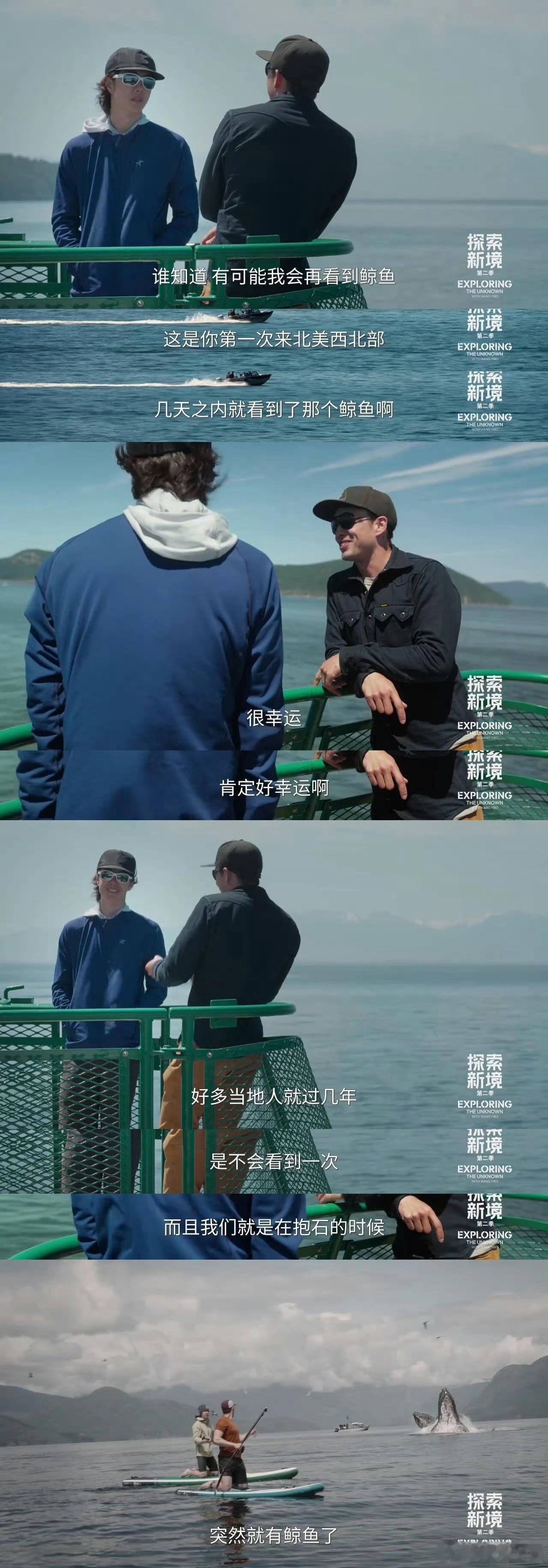 王一博运气真的很好！原来之前看到鲸鱼是当地人几年都不会看到一次，王一博第一次来北