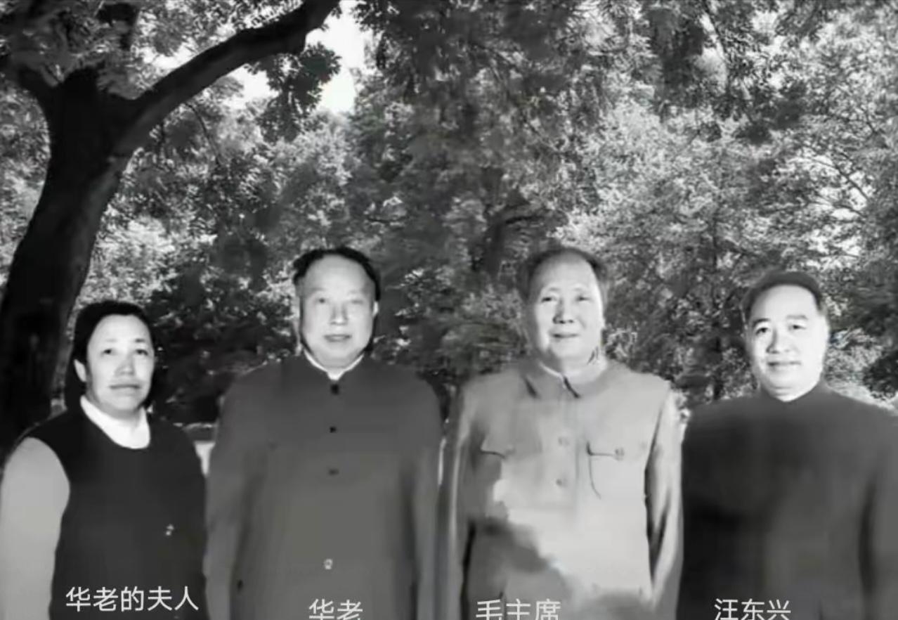 这张黑白照片定格了一段珍贵的历史时刻。画面中，毛泽东主席与华国锋（“华老”）、华