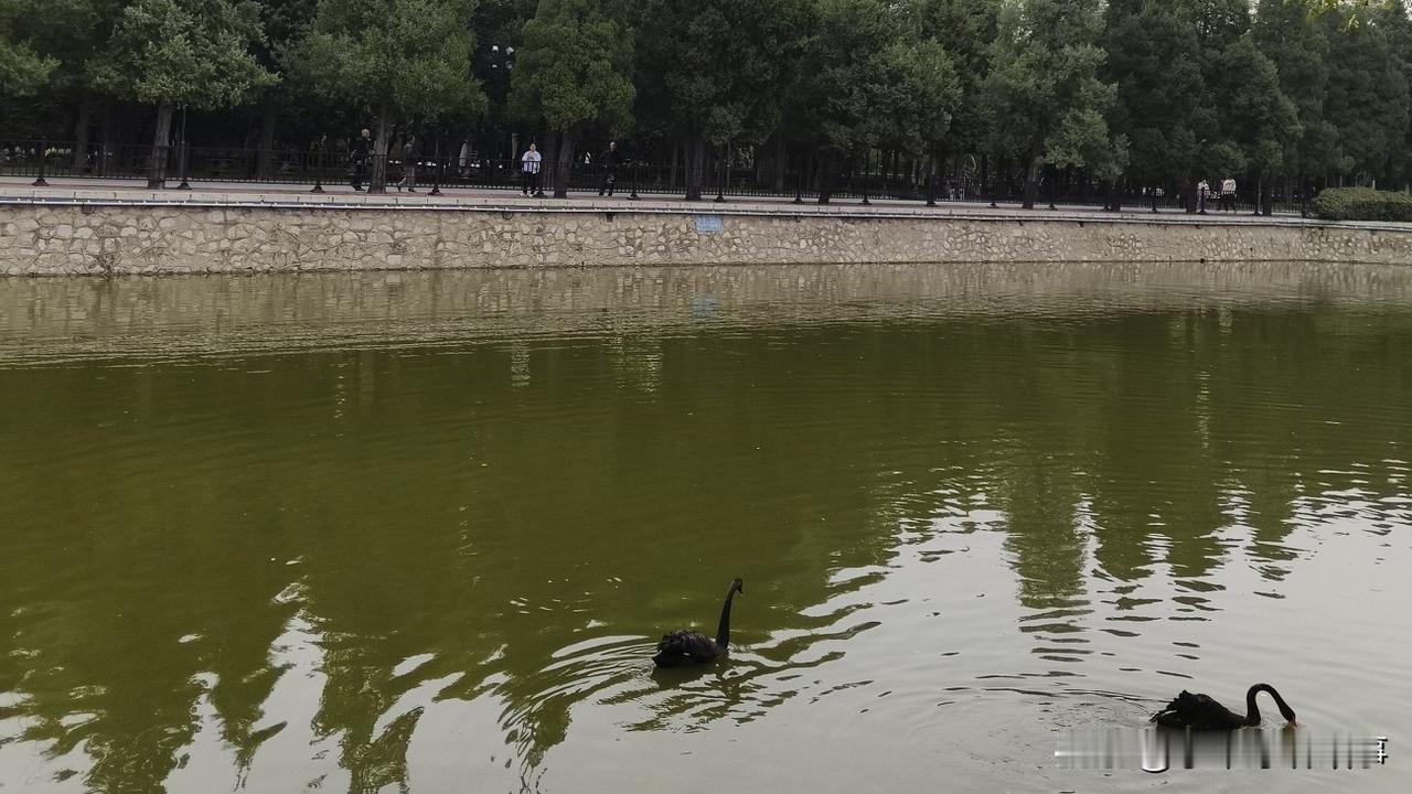 惊叹！人生感悟：人生最该学的并非挣钱与打扮，而是让自己快乐的能力，你有吗？出生