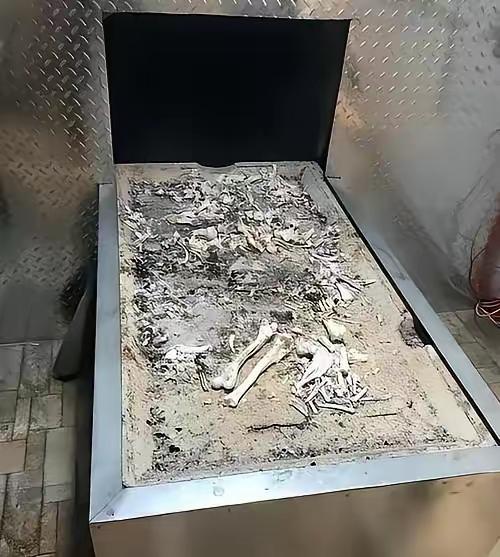 火化工一句话戳醒人！“一天烧61个遗体，才懂人死后和猪狗牛羊没两样”，这话听着扎