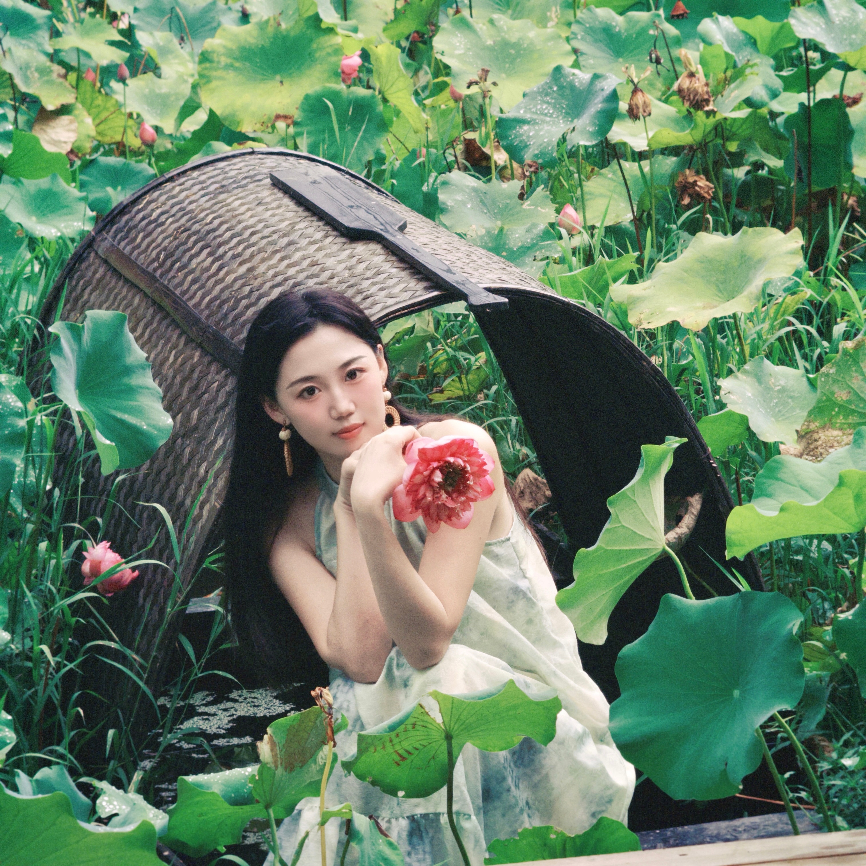 接天莲叶无穷碧🪷