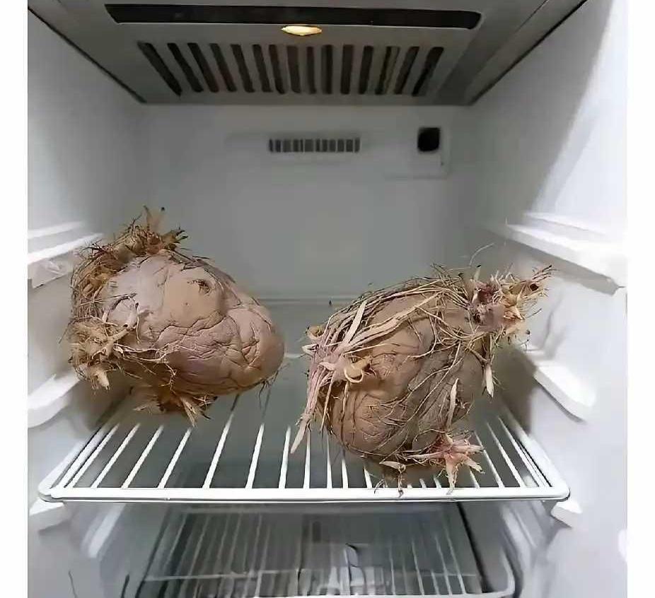 说一说你的尴尬一刻老一辈的尴尬时刻，殊不知这样更耗电！