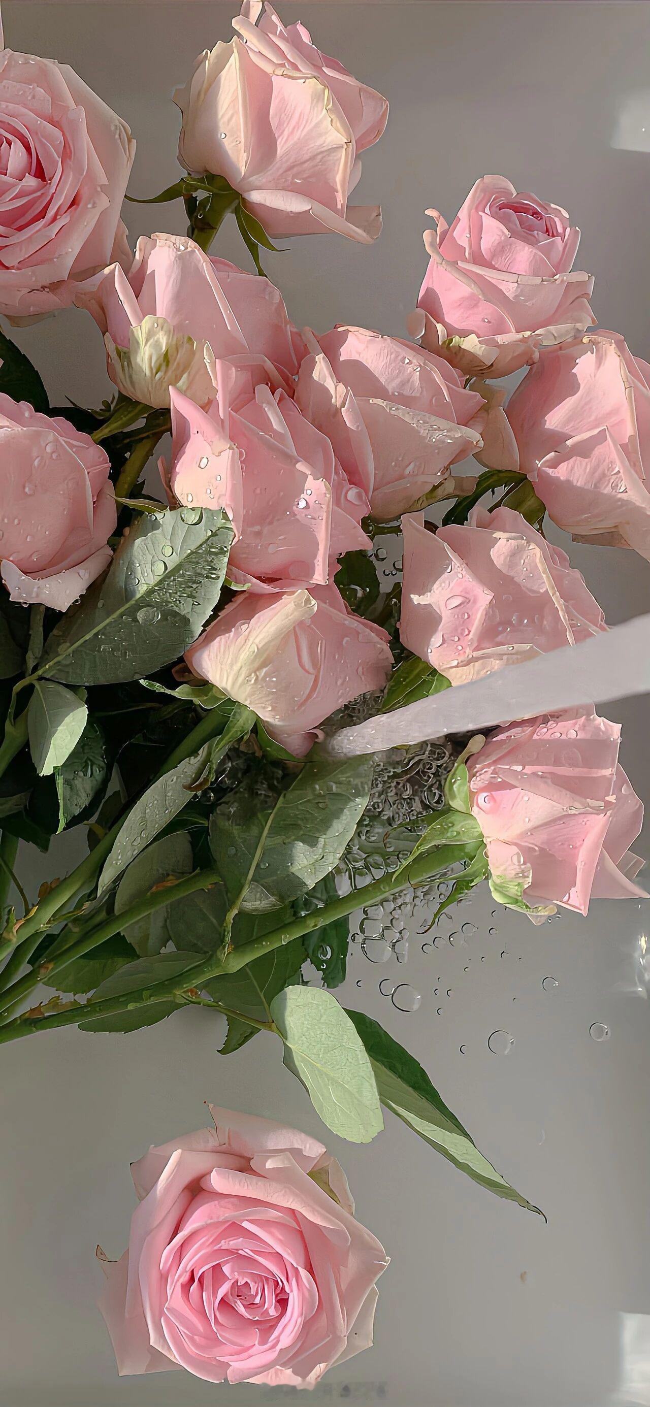 生命是有光的。在我熄灭以前，能够照亮你一点，就是我所有能做的了。我爱你，你要记得