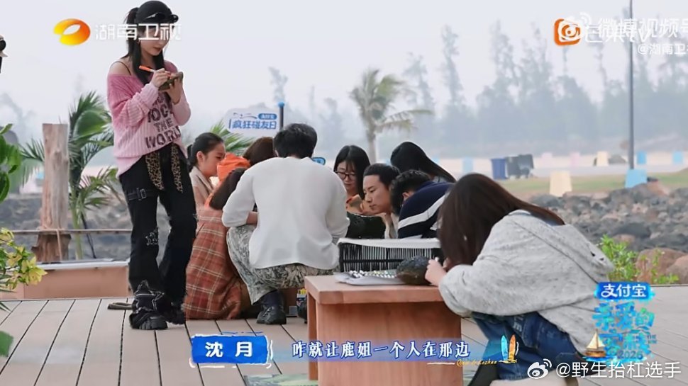 沈月说不能留白鹿一个人沈月看到白鹿一个人在火山石上画画，立马说怎么能让鹿姐一个人