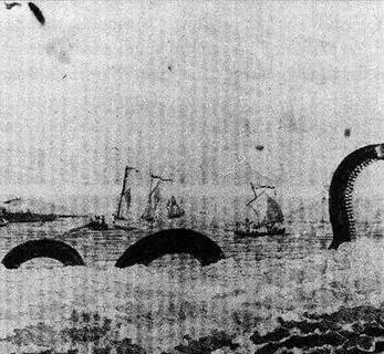1851年，美国一艘捕鲸船，在南太平洋斩杀了一条30米长的蛇形巨兽，船长割下其头