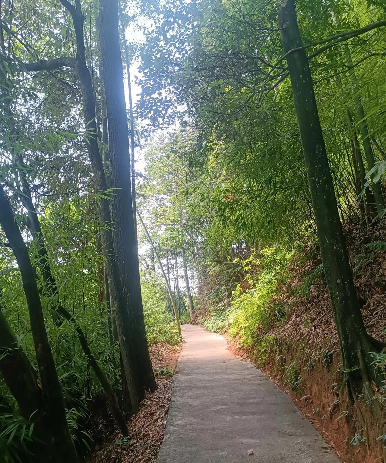 究竟是deepseeK太先进，还是我们太平庸？手机上下了deepseek的a