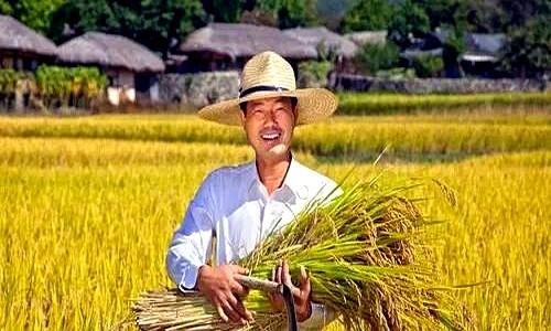 奴隶被明码标价的时代有多恐怖？人类历史上真有段黑暗时期，人彻底沦为商品。