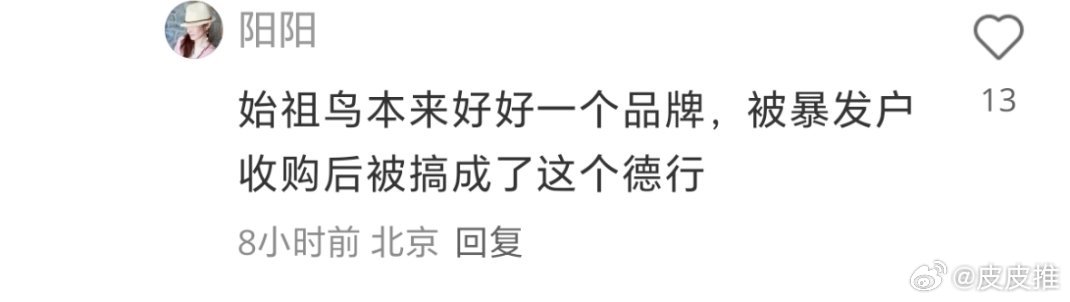 网友说以前的始祖鸟，本来是一个好好的品牌，自从被安踏这个“暴发户”收购后，就变成
