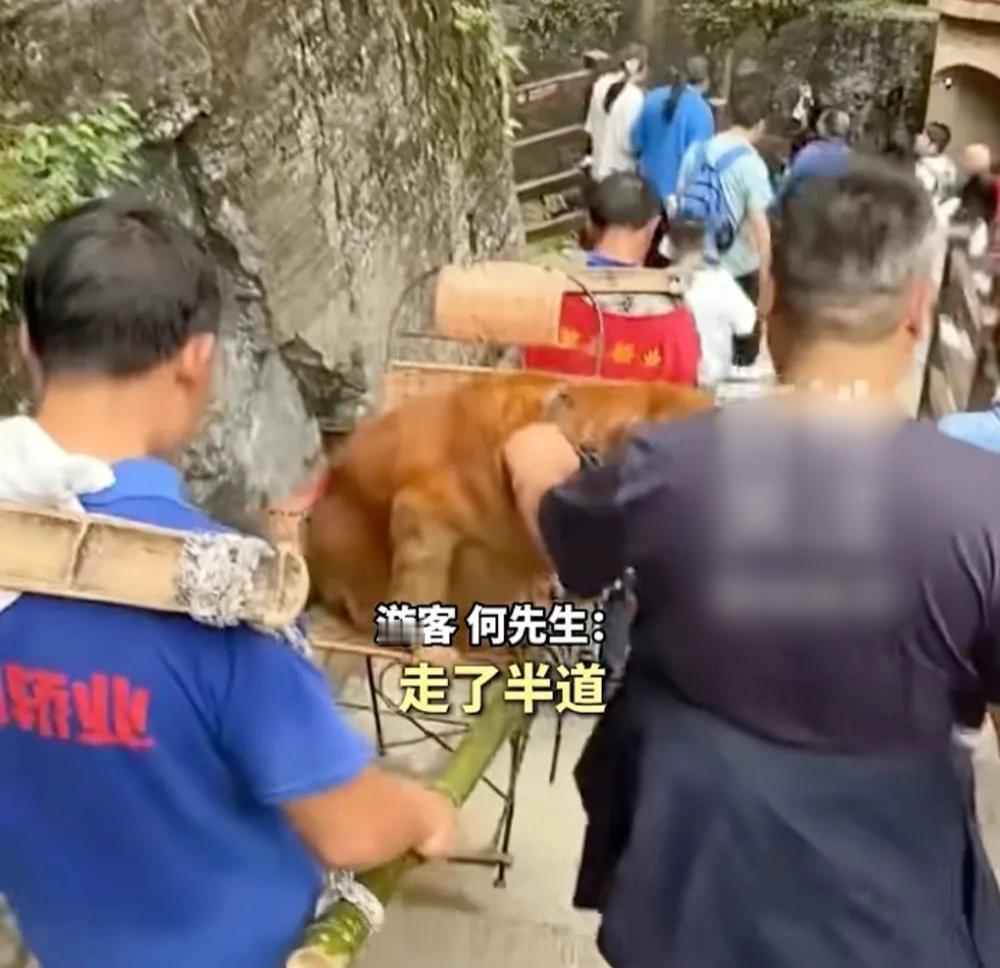 五一小长假，全国各地的景区都人山人海。可这两天，湖北恩施大峡谷的一幕，却让不少人
