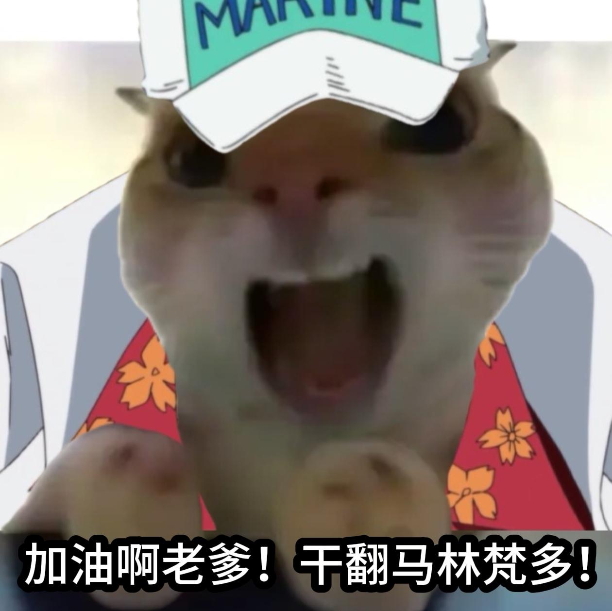 白胡子 赤犬 海贼王 onepiece 顶上战争
