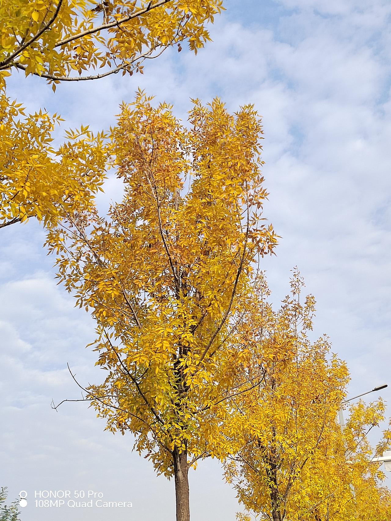 上个月一个认识多年的朋友，因为脑卒中去世了，只有五十多岁，很是可惜。前期其实是