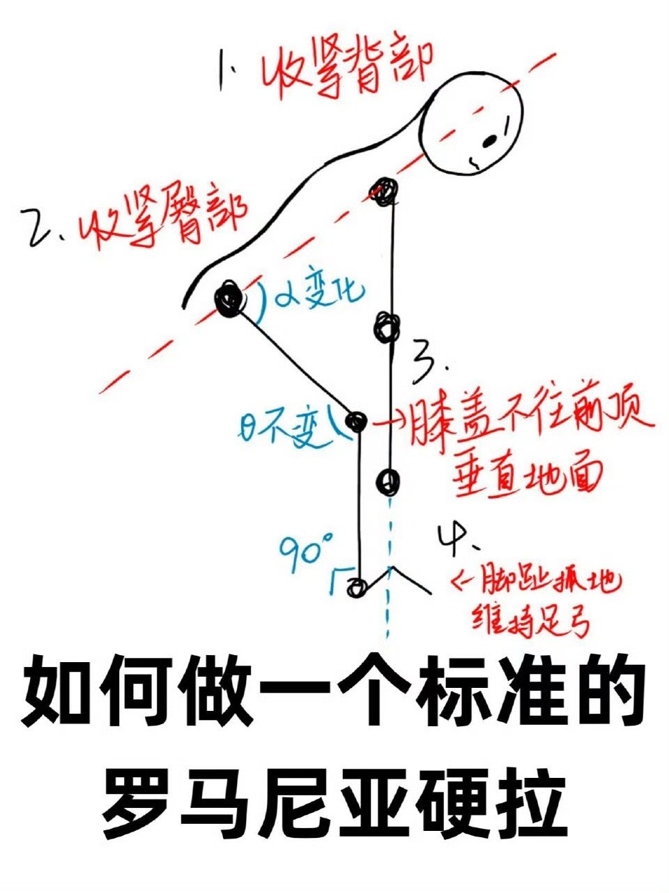 屈髋是罗马尼亚硬拉的精髓