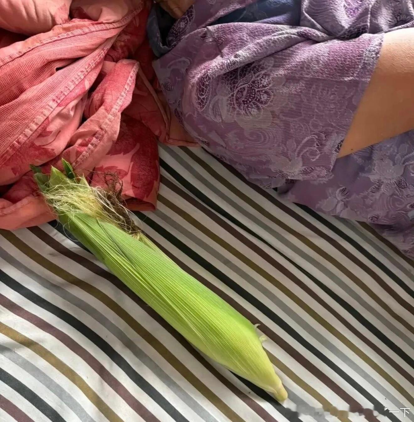6532奶奶的森系小众眼镜盒