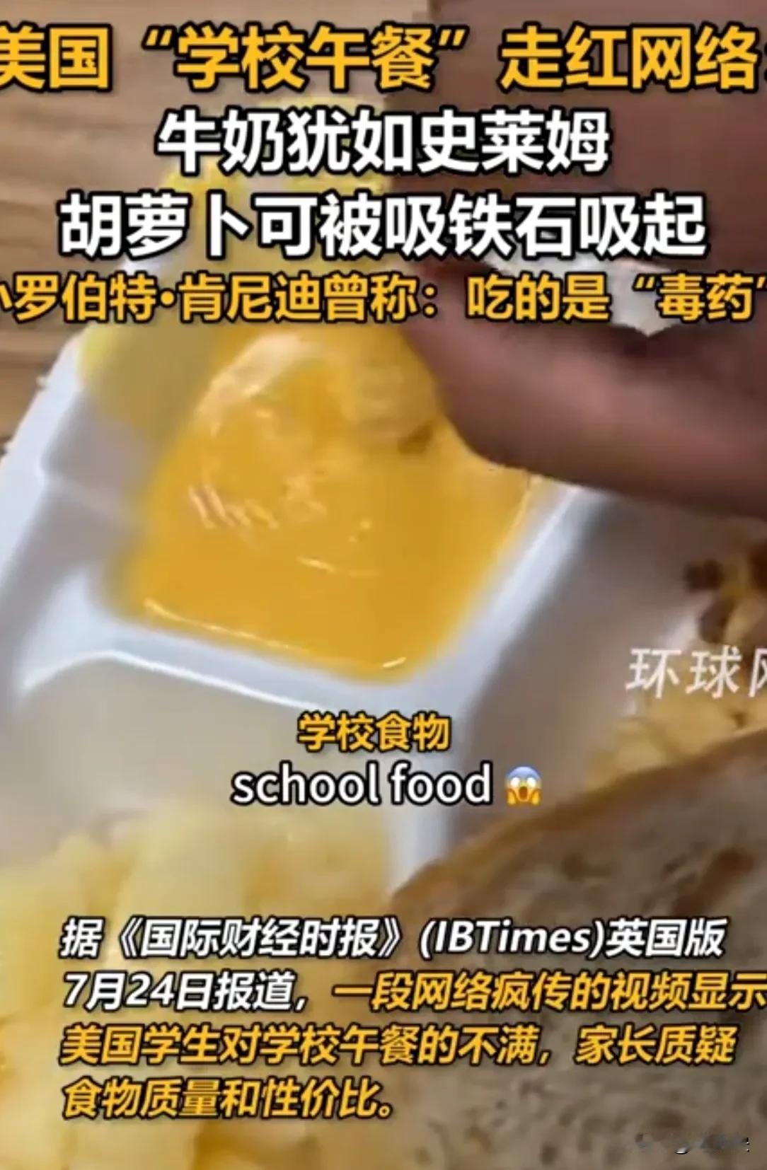 看看美国学生午餐里那些像果冻一样的牛奶，以及吸铁石都能吸起来的胡萝卜。昔日的公知