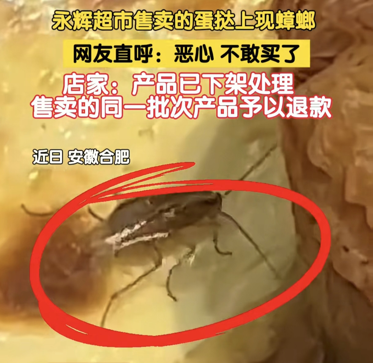 合肥永辉超市蛋挞现活蟑螂，顾客直呼“头皮发麻”。昨天合肥肥东县一家永辉超市有顾