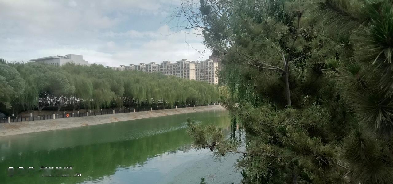婆媳关系如此相处也是绝了，婆婆儿媳是同一个单位。因为婆婆和儿媳很投缘。婆婆就
