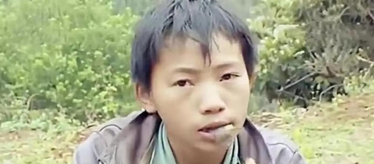 2006年，广西6岁男孩父亲意外离世，母亲弃他而去，他靠吃野菜为生，未曾想14岁