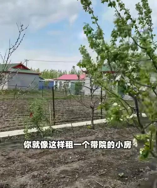 一块菜园值六万块钱吗？一对四十多岁的夫妇在村子里花六万块钱，买了一套破旧院子，