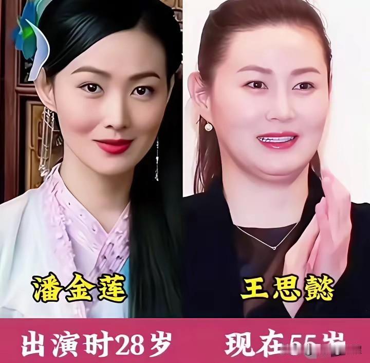 同一个潘金莲，不同时代的演员演绎出完全不一样的韵味，没有千篇一律的模板，每一位都