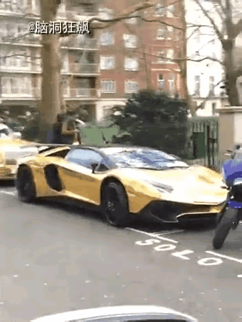 小车:别看，我是和他们一起的，你看，颜色多黄啊。