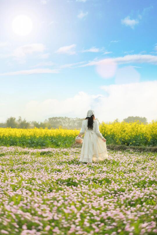 福州｜这片梦幻的紫色花海居然没有人来拍？
