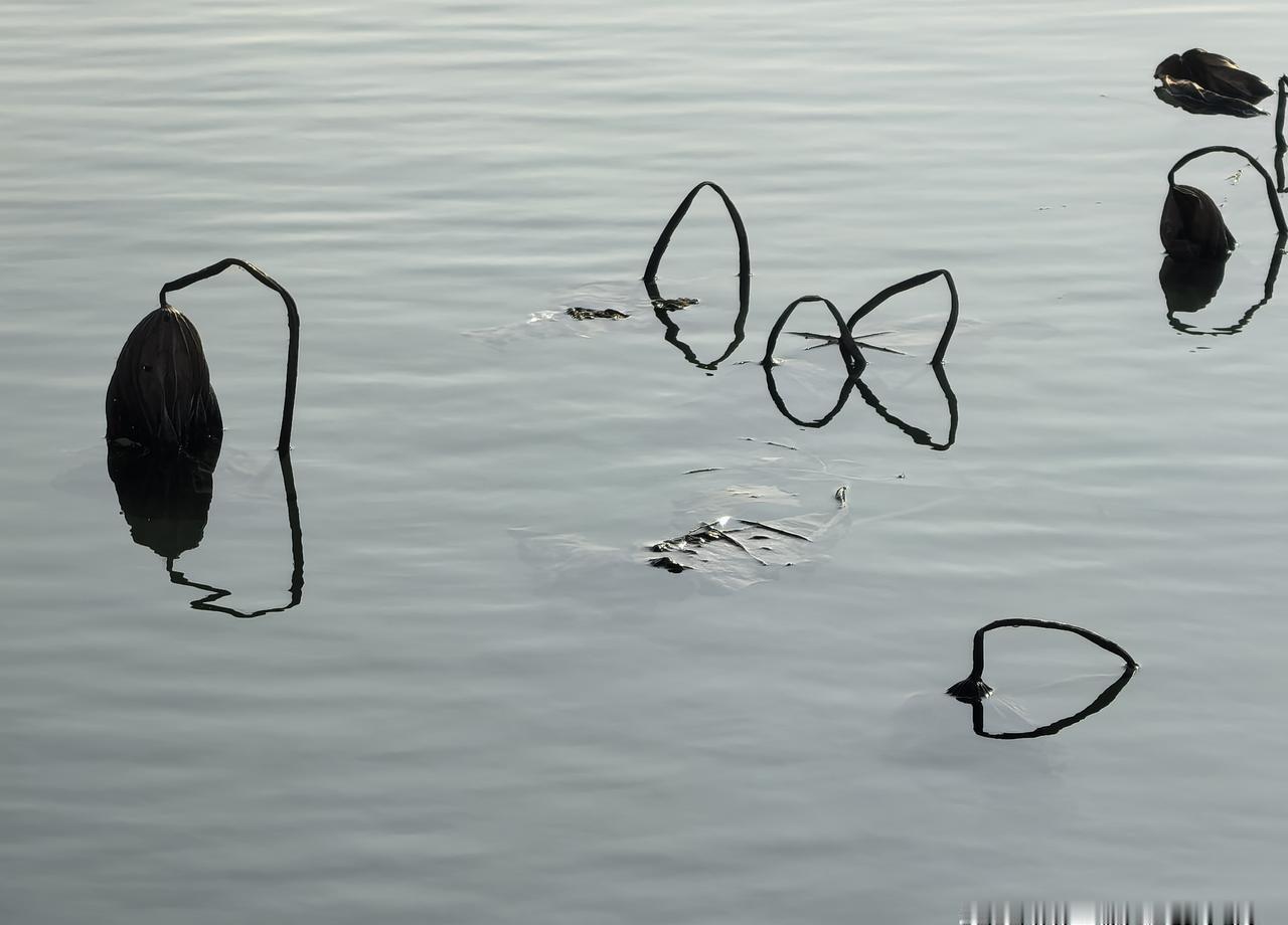 2023年最大的投资谎言，依然是“放长线钓大鱼”。我朋友小赵，攥着某新能源股票