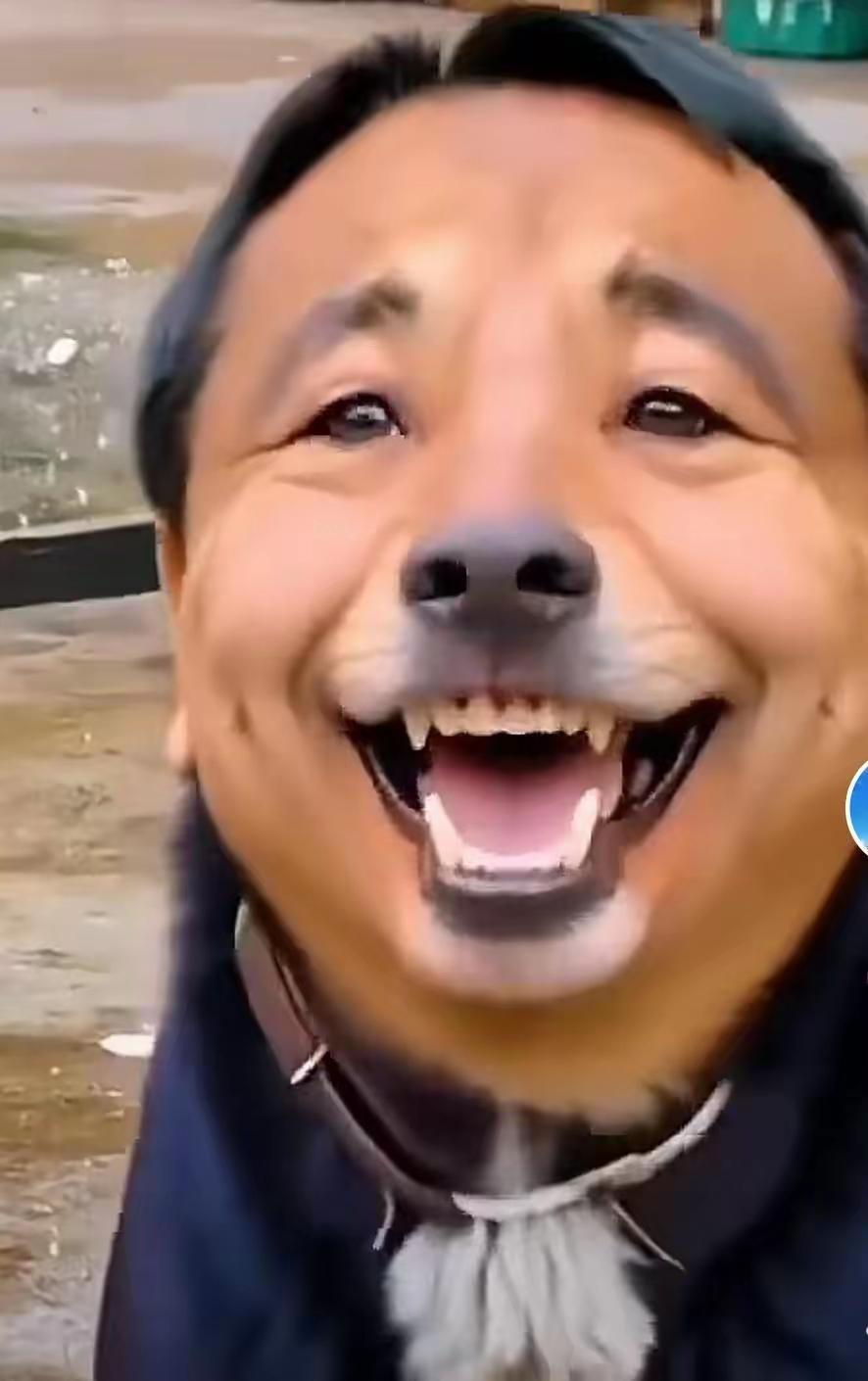 网上看到这个图这届网友太有才了画人画骨，第一幅画与石平确是神似，其内心与外貌