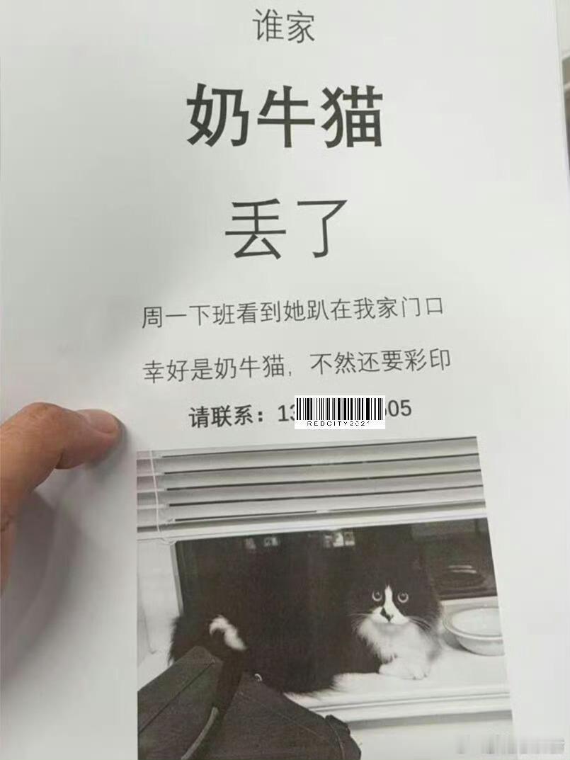 幸好是奶牛猫不然还要彩印