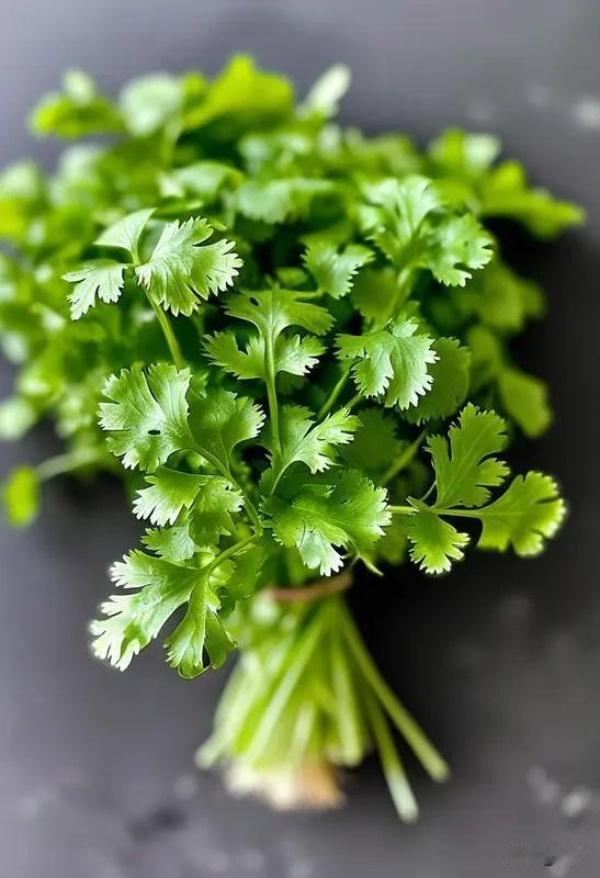 香菜和菠菜秋天啥时候种好呢？分开来说，两种蔬菜的最佳播种时间不一样，新手菜友别