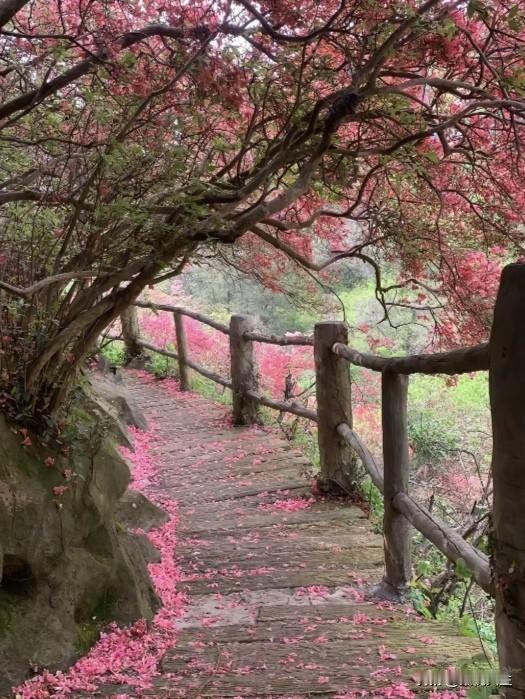 一位老中医说：“那些长寿的老人，靠得是走不是跑，凭的是养不是耗。最高级的养生，