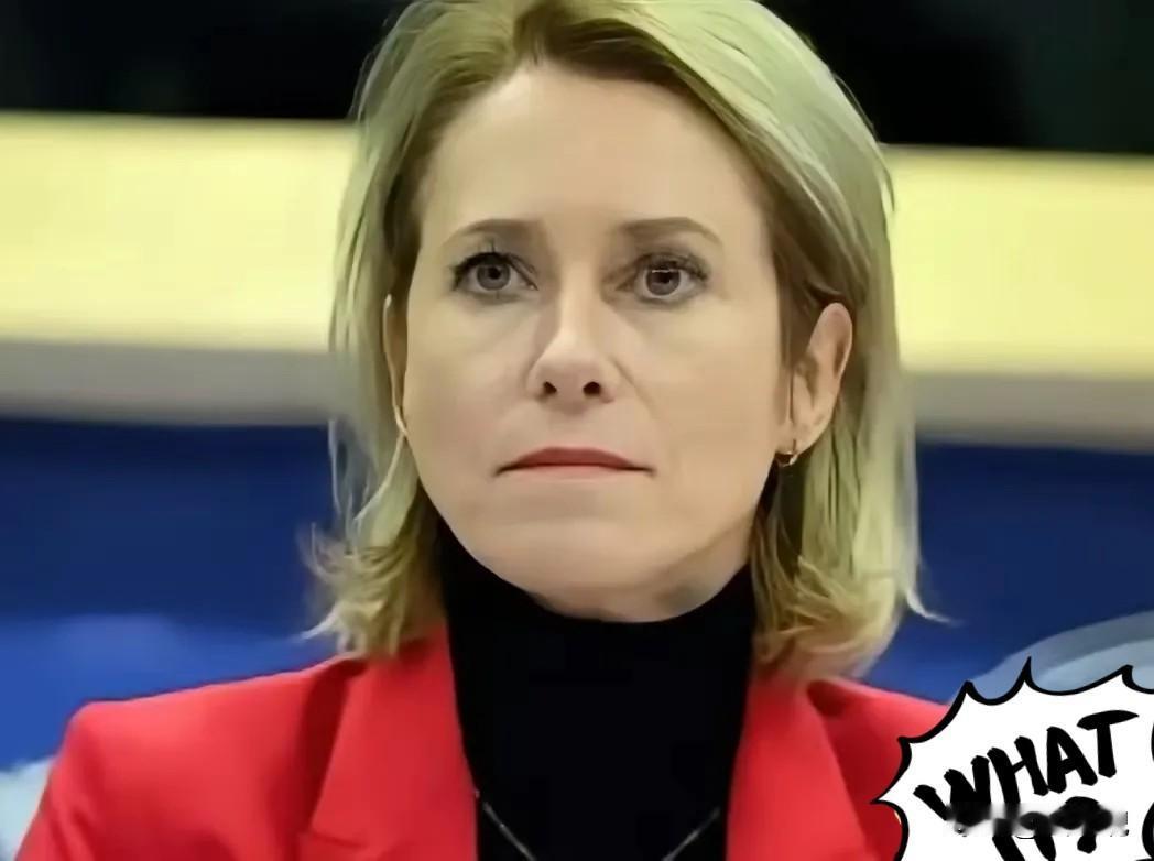 欧盟那帮人开会，有个女议员正唾沫横飞地渲染“中国威胁论”，调子都快起飞了。结果挪