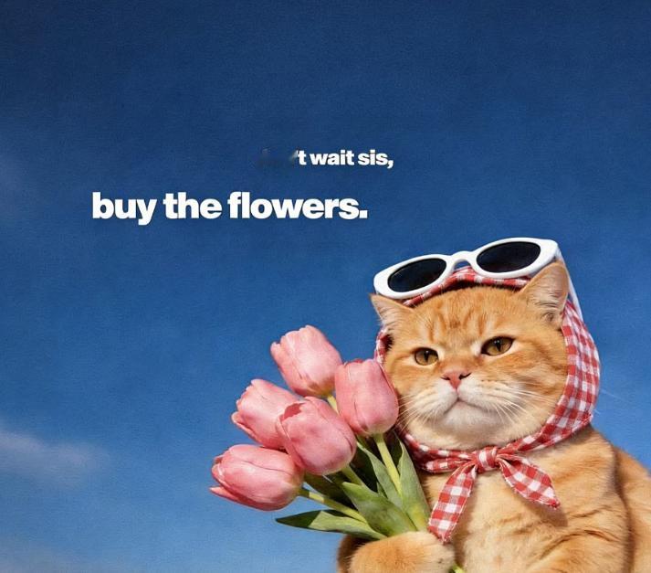 分享一个玄学真相只要在住的房子里面发财了，升职加薪了，结婚生娃了，创业发财了