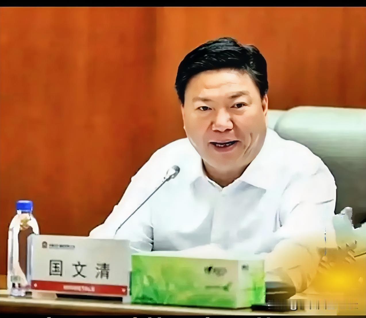 国文清投案，把那个号称“全球最大”的印度高炉项目又推到了风口浪尖。几十亿美元