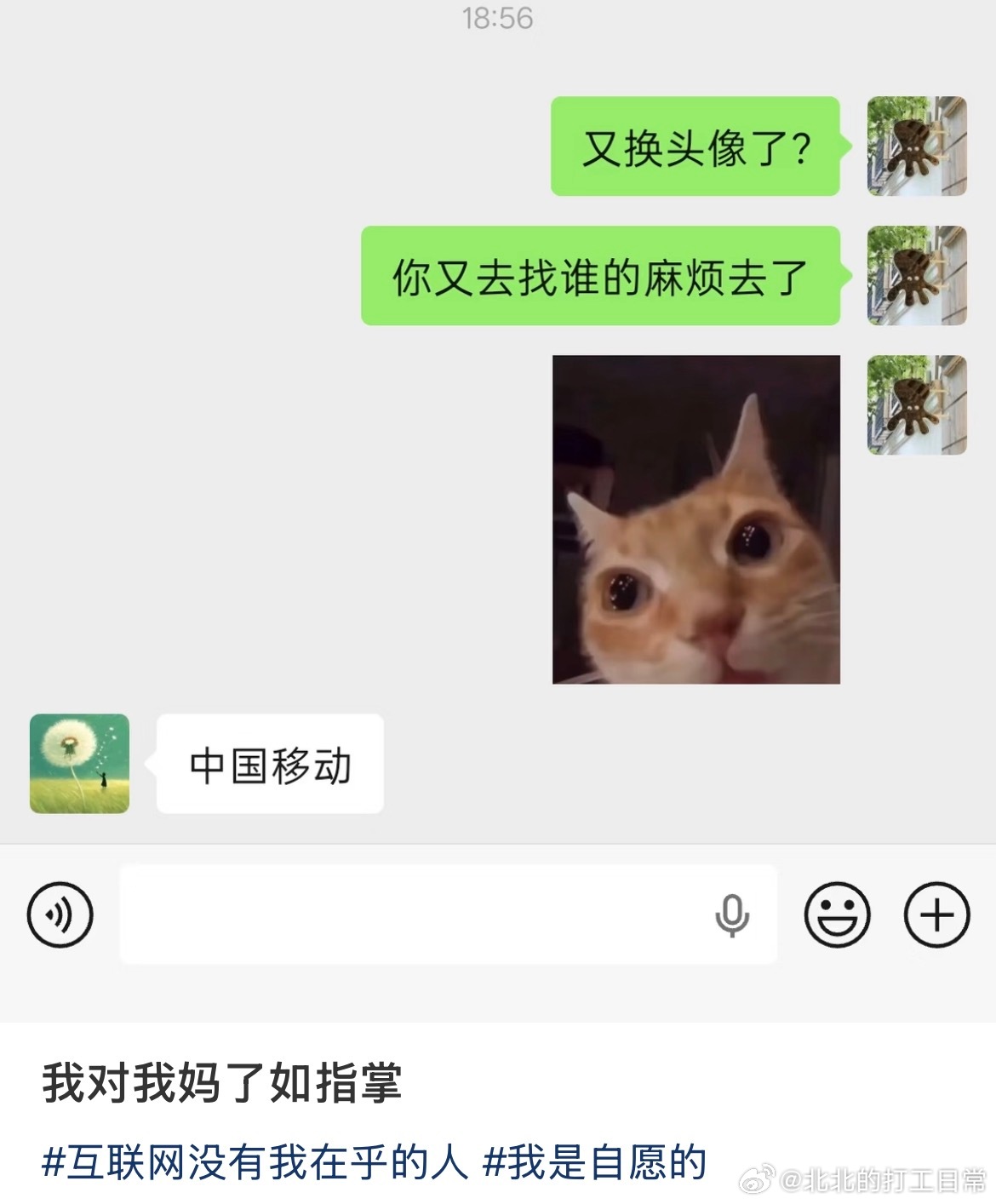 我对我妈的互联网动机了如指掌
