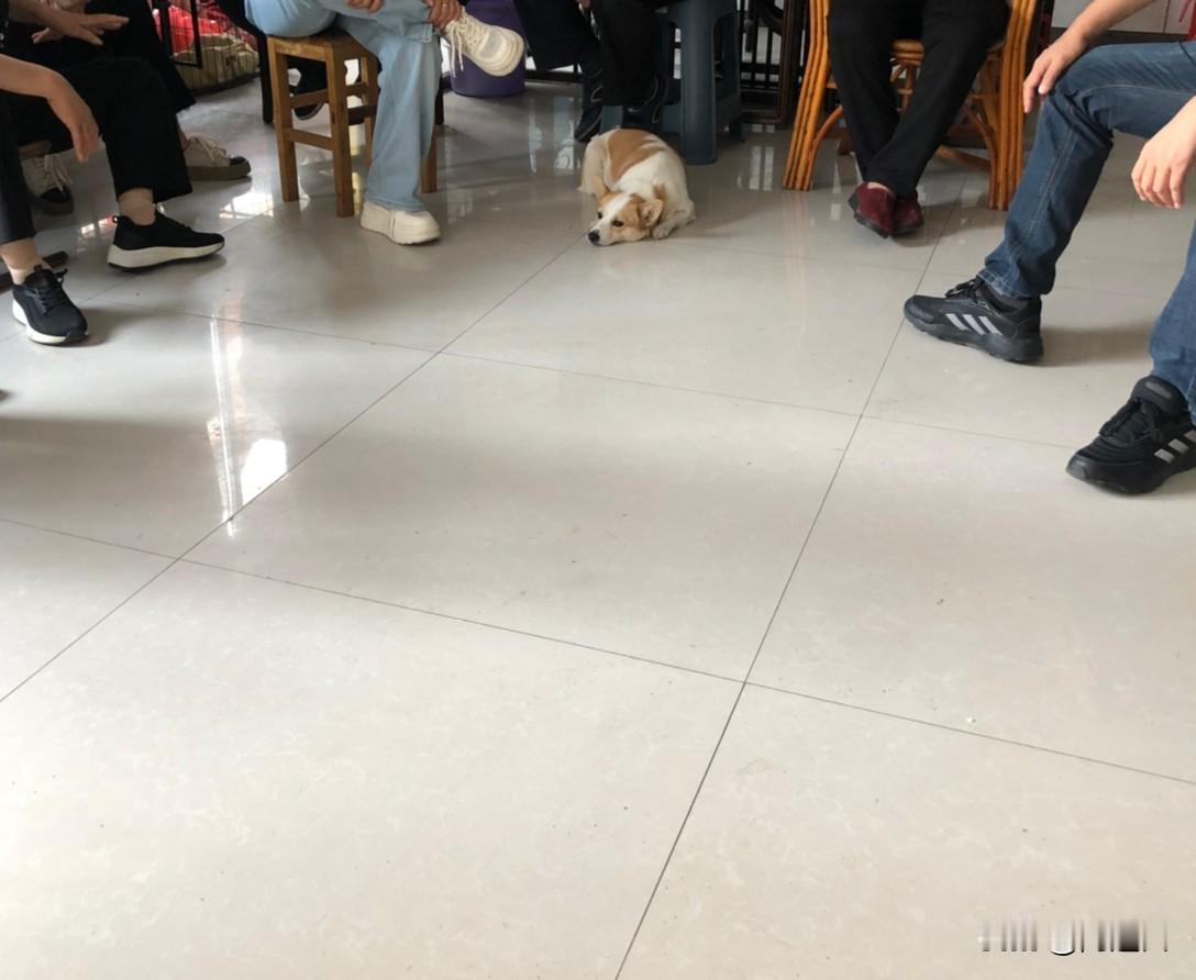 母亲生前的生活我从没羡慕过，但她死的那一刻，过去2年了，至今想起来，还在替她感觉
